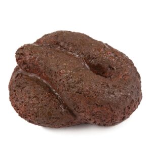 Busters Hide-A-Key Dog Poop