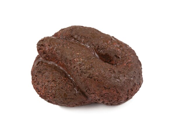 Busters Hide-A-Key Dog Poop