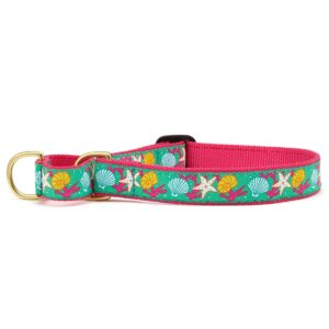 Reef Martingale Dog Collar