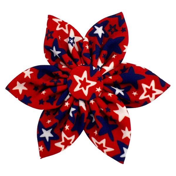 Patriot Stars Pinwheel