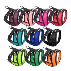 Comfort X Head-in Harness