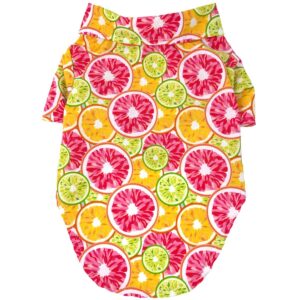 Citrus Slice - Shirt