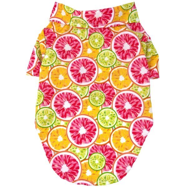 Citrus Slice - Shirt