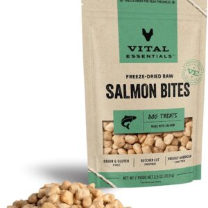 Freeze - Dried Raw Salmon Bites