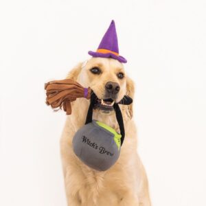 Halloween Costume Kit Witch