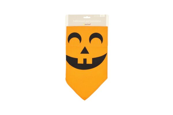 Pumpkin Bandana Orange M/L