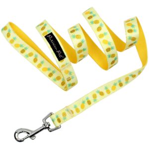 Pineapple 4ft. Lead