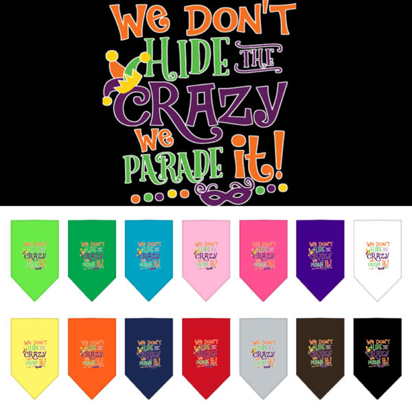 We Don't Hide the Crazy Mardi Gras Dog Purple Bandana