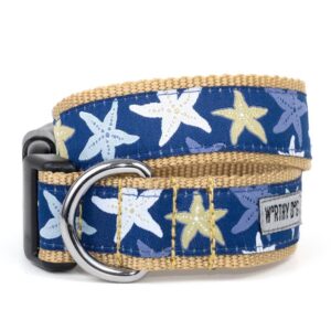 Blue Starfish Collar