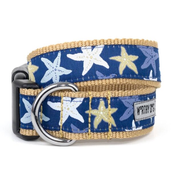 Blue Starfish Collar