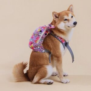 TOUCHDOG Backpack Harness
