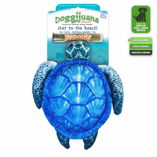 Get To The Beach Sea Turtle