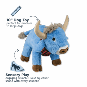 Tall Tails Blue Ox