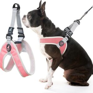 Simple Step-in Harness - Pink