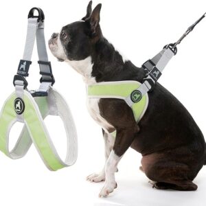 Simple Step-in Harness - Green