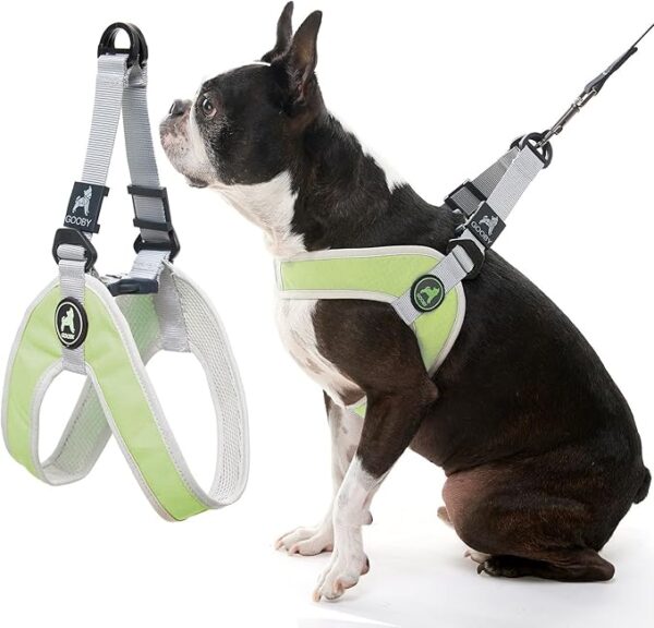 Simple Step-in Harness - Green