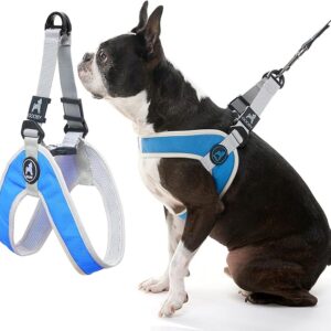 Simple Step-in Harness - Blue