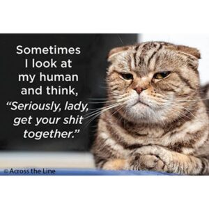 Magnet: Sometimes I Look At My Human