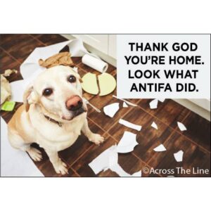 Magnet: Thank God You're Home, Look At What Antifa Did!