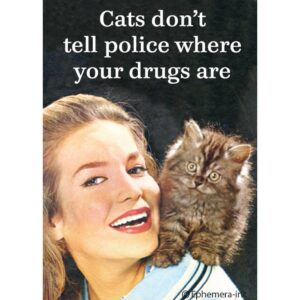Magnet-Cats Don't Tell Police Where Your Drugs Are