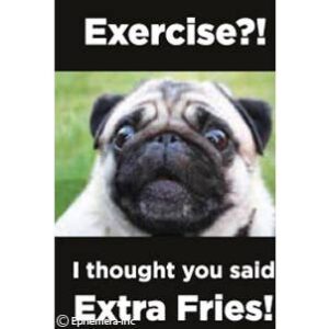 Magnet-Exercise?! I Thought You Said Extra Fries!