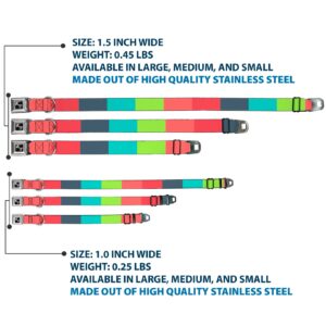 Black/Silver Seatbelt Buckle Collar - Summer Essentials Color Block 8 - Image 2