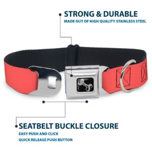Black/Silver Seatbelt Buckle Collar - Summer Essentials Color Block 8