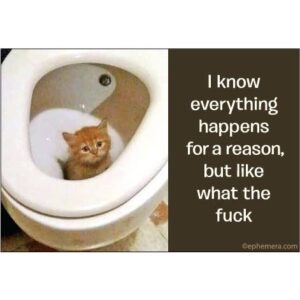 Magnet: I Know Everthing Happens